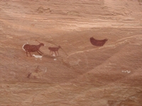 Detailed pictographs